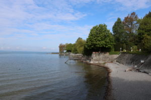 IMG_0024 IMG_0024